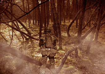 Image showing Military, army and soldier in forest with camouflage for mission, service or fight in woods with weapon, uniform and protection. Battlefield, warrior and person in camp for incognito and defence