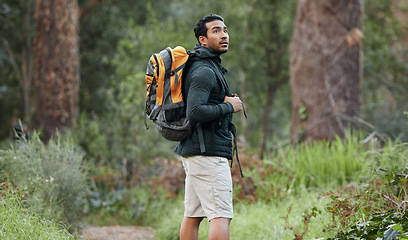 Image showing Man, travel backpack and walking with view, thinking and camping in the Amazon forest for holiday. Exercise, trekking workout and hiking in the woods for vacation with freedom in nature on a journey