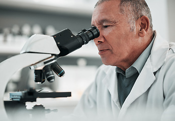 Image showing Microscope, senior man or chemistry with research, medical or data analysis with pathology. Mature person, scientist or researcher with laboratory equipment, check sample or analytics with healthcare