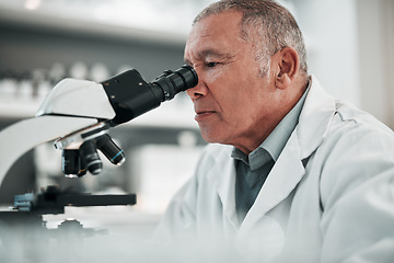 Image showing Microscope, senior man and science with research, medical and data analysis with biotechnology. Old person, scientist or researcher with laboratory equipment, check sample and test dna with pathology