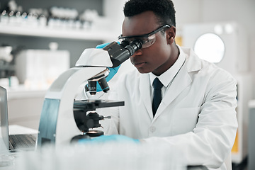 Image showing Microscope, black man or biotechnology with research, medical or data analysis with experiment. African person, scientist or researcher with laboratory equipment, testing sample or dna with pathology