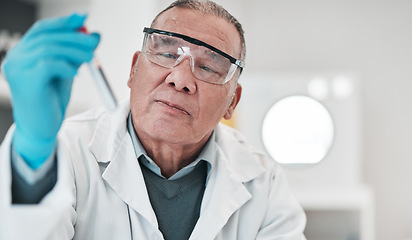 Image showing Scientist, man and test tube in laboratory for medical investigation, chemistry research and vaccine. Science, senior worker and dna analysis for blood sample, medicine and healthcare development
