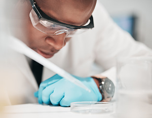 Image showing Science, man and pipette with petri dish in laboratory for medical investigation, chemical results and vaccine development. African scientist, dropper and research liquid solution for chemistry test