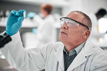 Image showing Scientist, man and microscope slide in research, vaccine analysis or data in medical or healthcare laboratory. Science expert with glasses or ppe for virus solution, molecule exam or check particles