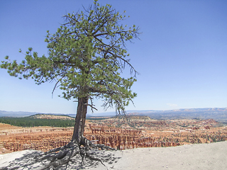 Image showing Bryce Canyon National Park