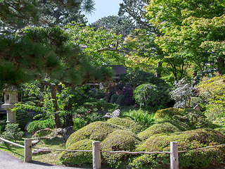 Image showing Japanese Tea Garden