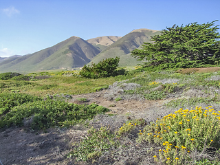 Image showing idyllic coastal scenery in California