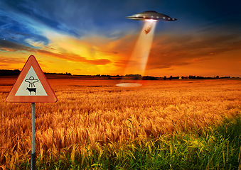 Image showing Cow abduction, ufo and spaceship light in countryside for mission, science fiction and fantasy in sky. Spacecraft, field and flying saucer from outer space for invasion, futuristic and mystery