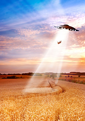 Image showing UFO, farm and field with light, alien invasion and research with cow, abduction or transport. UAP ship, flying saucer and tractor beam in nature, grass or countryside for survey, inspection or flight