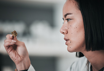 Image showing Science, sample and Asian woman in laboratory for analysis, medical research and study. Biology, pharmaceutical and scientist with plant specimen for testing, innovation and medicine development