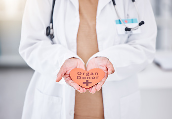 Image showing Organ donor, doctor and hands with heart sign for medical service, donation and transplant charity. Healthcare, hospital and health worker with emoji, shape and icon for help, support and medicine