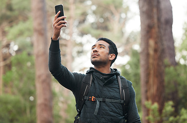 Image showing Phone, connection and man lost in nature for hiking, trekking and exercise in woods. Fitness, travel and person on smartphone with no signal for GPS, online location and digital map on adventure