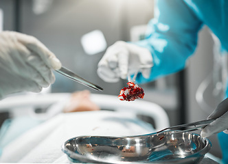 Image showing Healthcare, surgery tools and doctor hands in theatre for operation, emergency or risk with safety ppe at hospital. Medical, wellness and surgeon or professional nurse with metal equipment for help