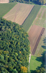 Image showing Aerial view of a german forest and  meadows