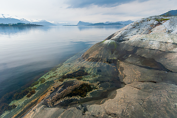 Image showing shell on a cliff at the water's edge by clear sea