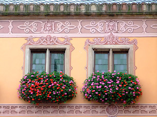 Image showing Flowered windows odfObernai townhall - Alsace