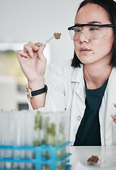 Image showing Science, plant sample and Asian woman in laboratory for analysis, medical research and study. Horticulture, pharmaceutical and scientist with plants for testing, innovation and medicine development