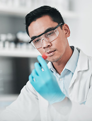 Image showing Science, test tube and asian man in laboratory for medical analysis, health inspection and vaccine development. Scientist studying blood sample for dna results, chemistry investigation and assessment