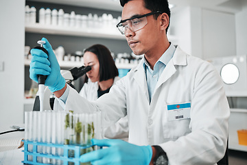 Image showing Science, research and man with test tube in biotech laboratory, solution for vaccine or medical innovation. Healthcare, lab analytics and medicine, scientist with pharmaceutical sample in container.