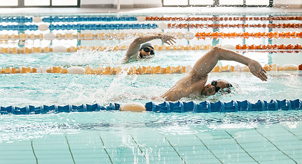 Image showing Workout, sports and a swimmer in a pool during a race, competition or cardio training at a gym. Exercise, water and fitness with an athlete swimming to improve speed, health or freestyle performance