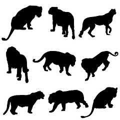 Image showing Big Cat Silhouette Set 