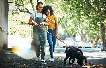 Image showing Love, bonding and lesbian couple walking with dog in city street for exercise, adventure and fun. Lgbtq, animal and interracial young gay women in town road with pet puppy for fresh air together.