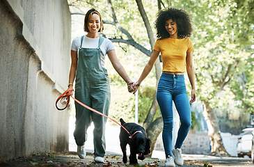 Image showing Smile, holding hands and lesbian couple walking with dog in city street for exercise, bonding and fun. Love, animal and interracial young lgbtq women in town road with puppy for fresh air together.