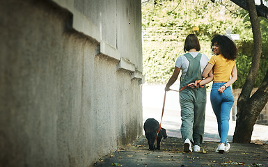 Image showing Women, walking and couple with a dog in street, park or portrait outdoor in spring with pet on lead and wall mockup space. People, smile and journey with animal for exercise, wellness or happiness