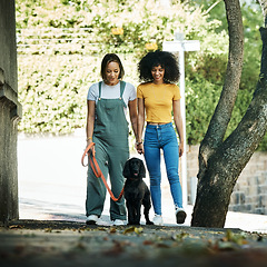 Image showing Love, holding hands and lesbian couple walking with dog in city street for exercise, bonding and fun. Lgbtq, animal and interracial young gay women in town road with pet puppy for fresh air together.