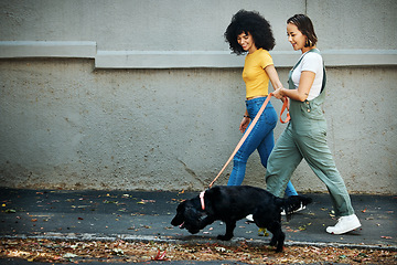 Image showing Love, happy and lesbian couple walking with dog in city street for exercise, bonding and fun. Lgbtq, animal and interracial young gay women in urban town road with pet puppy for fresh air together.