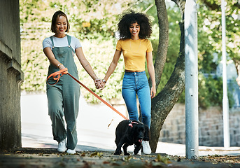 Image showing Happy, holding hands and lesbian couple walking with dog in city street for exercise, bonding and fun. Love, animal and interracial young gay women in town road with pet puppy for fresh air together.