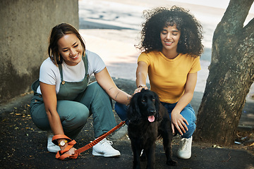 Image showing Love, smile and a lesbian couple walking their dog together outdoor in the city for training or exercise. LGBT, health and a happy woman with her girlfriend to teach their pet animal on a leash