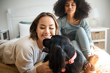 Image showing Dog, bed and happy with lesbian couple and love in home, morning and relax together in healthy relationship, play connection and lgbtq. Pet, bedroom and women with animal, bonding and care in house