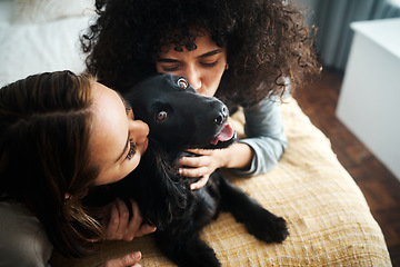 Image showing Love, women and dog with kiss on bed in bedroom of family home for fur puppy, pet and happiness indoor. Labrador, animal and people together in room with cuddling and care for bonding and loyalty