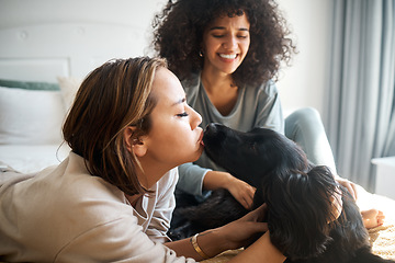 Image showing Dog, bed and gay couple kiss in home, morning and relax together in house. Pet, bedroom and happy lesbian women with animal, bonding and having fun in healthy relationship, love connection and care