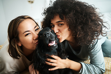 Image showing Women, portrait and dog with kiss on sofa in living room of home for puppy, love and happiness indoor. Cocker spaniel, animal and people together on couch with cuddling and care for bond and loyalty