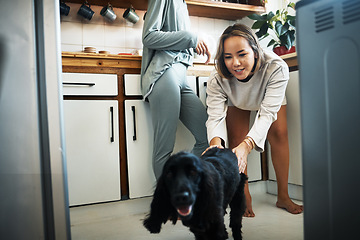Image showing Love, dog and happy with lesbian couple in kitchen for relax, support and care. Canine animal, morning and smile with gay women and pet puppy at home for bonding, playful and happiness together