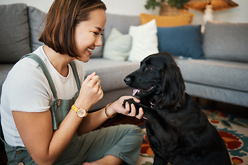 Image showing Love, paw and woman with dog in home lounge to relax and play with animal. Pet owner, happiness and asian person on floor for training companion, care and wellness or friendship in cozy apartment
