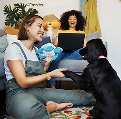 Image showing Home, gay or happy couple with dog in house living room on floor to relax with paw trick, loyalty or love. Teaching pet, handshake or woman playing with an animal with care, support or smile on mat