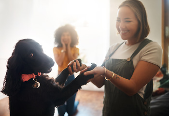 Image showing Happy, dance and dog with woman in home, living room and teaching or learning a trick in development or growth in apartment. Training, pet and people in house with cocker spaniel, animal and bonding