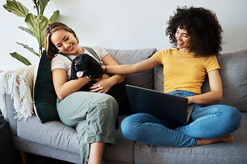Image showing Dog, home living room and happy couple of friends bonding, connect and smile for animal love, support or care. LGBTQ, happiness or gay people, bisexual partner or lesbian women relax with pet on sofa
