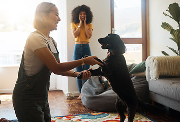 Image showing Woman, dance and happy dog in home, living room and teaching or learning a trick in development or growth in apartment. Training, pet and people in house with cocker spaniel, animal or bonding