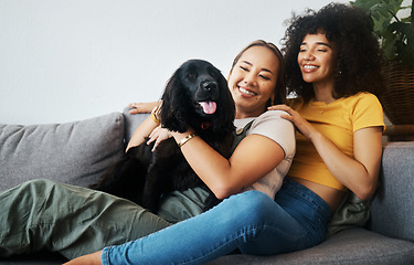 Image showing Dog, sofa or happy gay couple play in home to relax together in healthy relationship or love connection. Lgbtq, pet or lesbian women smile with animal, bond or care in house living room on couch