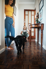 Image showing Dog, home and happy lesbian couple play, bonding or having fun together. Pet, gay women smile with animal running in hallway and care in healthy relationship, love connection and lgbt people in house