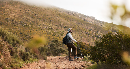Image showing Hiking, thinking or black man on mountain in nature for trekking journey or adventure for freedom. Stick, holiday vacation or African hiker on walking break in park for exercise, fitness or wellness