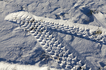 Image showing car tire in the snow