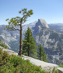 Image showing Yosemite National Park