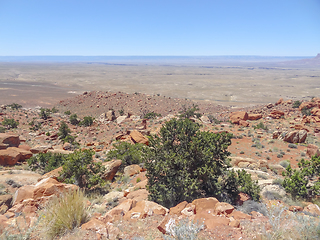 Image showing near Grand Canyon in Arizona