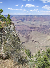 Image showing Grand Canyon in Arizona