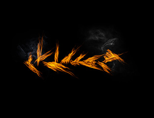 Image showing Fire, burning and smoke with orange flame on black background, inferno and power with mockup space. Heat, ignite and sparks in a studio, energy and natural element, flammable and texture with glow